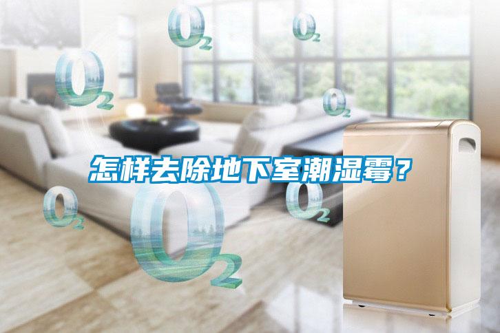 怎樣去除地下室潮濕霉？