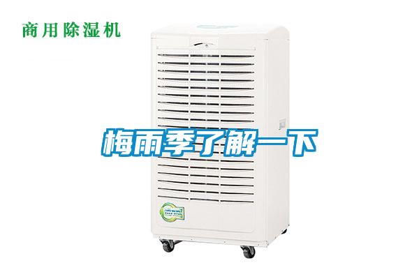 梅雨季了解一下