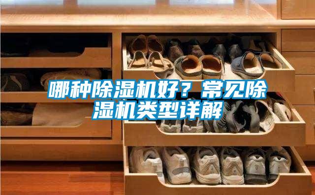 哪種除濕機(jī)好？常見除濕機(jī)類型詳解