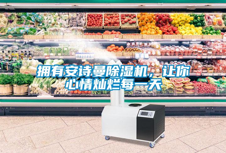 擁有安詩(shī)曼除濕機(jī)，讓你心情燦爛每一天