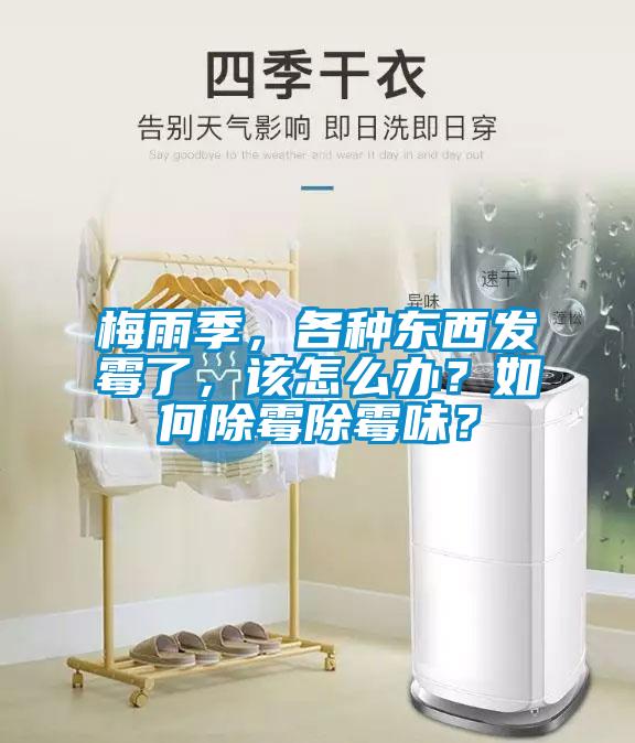 梅雨季，各種東西發(fā)霉了，該怎么辦？如何除霉除霉味？