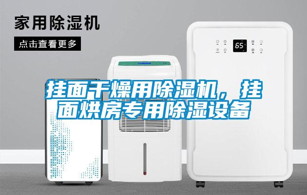 掛面干燥用除濕機，掛面烘房專用除濕設(shè)備