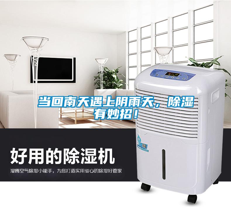 當(dāng)回南天遇上陰雨天，除濕有妙招！