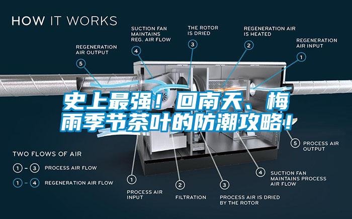 史上最強！回南天、梅雨季節(jié)茶葉的防潮攻略！