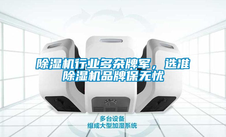 除濕機(jī)行業(yè)多雜牌軍，選準(zhǔn)除濕機(jī)品牌保無憂