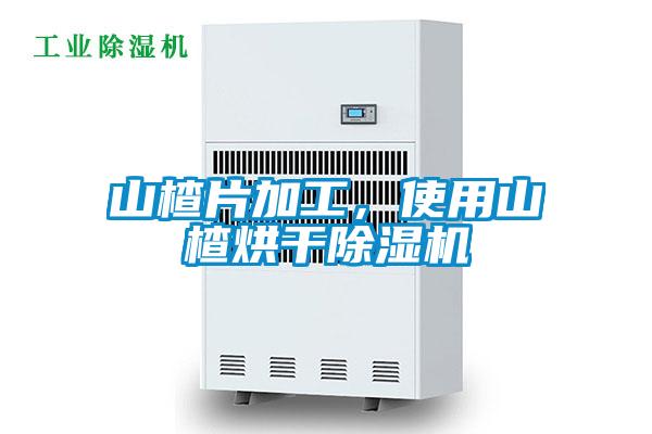 山楂片加工，使用山楂烘干除濕機