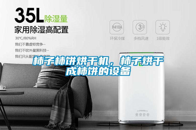 柿子柿餅烘干機(jī)，柿子烘干成柿餅的設(shè)備