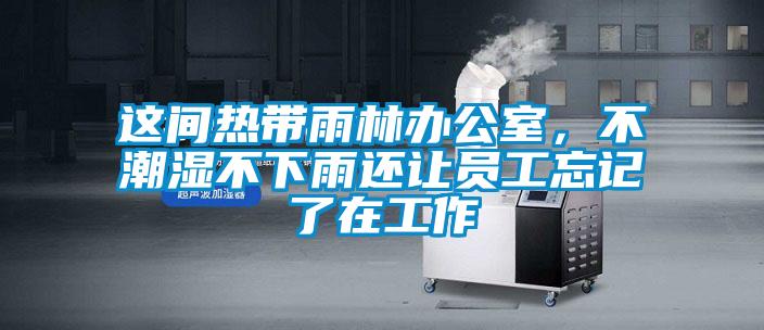 這間熱帶雨林辦公室，不潮濕不下雨還讓員工忘記了在工作