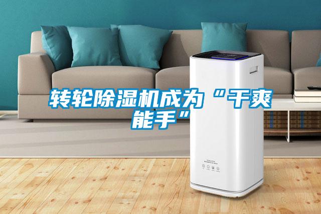 轉(zhuǎn)輪除濕機成為“干爽能手”