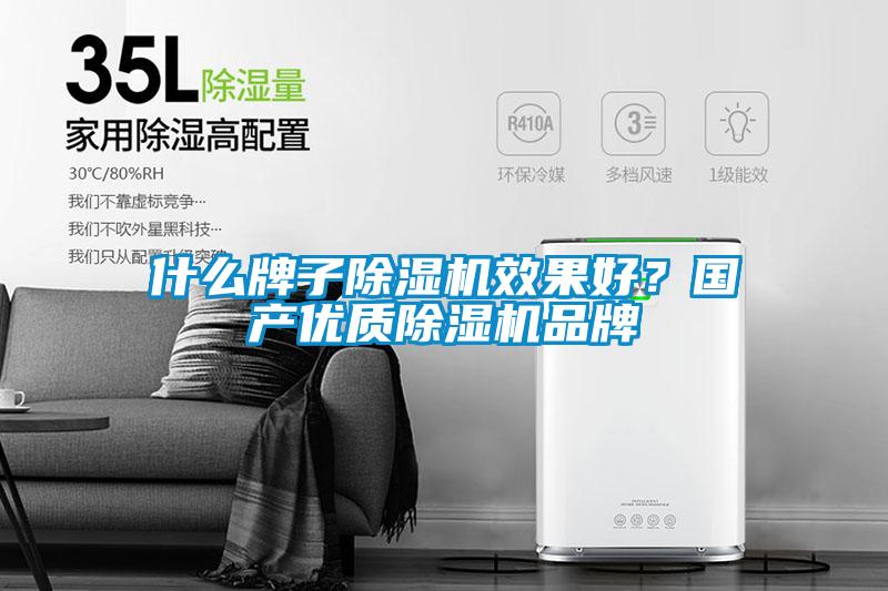 什么牌子除濕機(jī)效果好？國(guó)產(chǎn)優(yōu)質(zhì)除濕機(jī)品牌