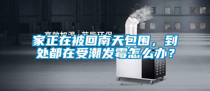 家正在被回南天包圍，到處都在受潮發(fā)霉怎么辦？