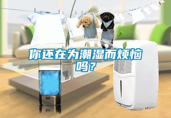 你還在為潮濕而煩惱嗎？