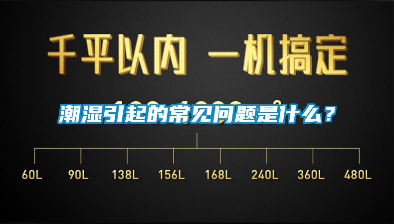 潮濕引起的常見問題是什么？
