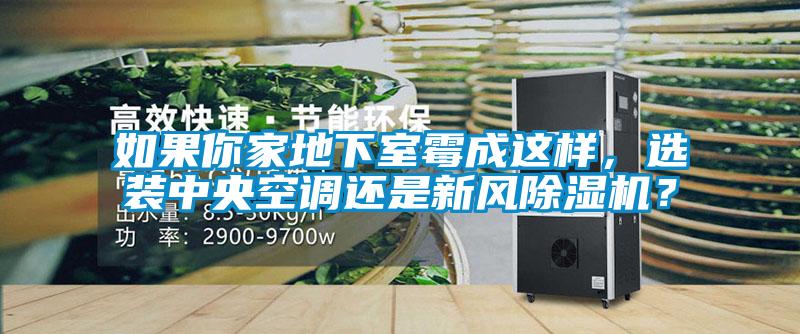 如果你家地下室霉成這樣，選裝中央空調(diào)還是新風(fēng)除濕機(jī)？