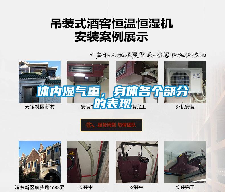 體內(nèi)濕氣重，身體各個(gè)部分的表現(xiàn)