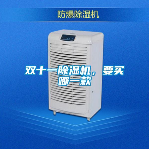 雙十一除濕機(jī)，要買哪一款