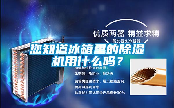 您知道冰箱里的除濕機用什么嗎？