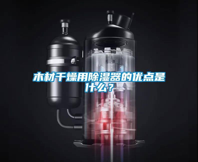 木材干燥用除濕器的優(yōu)點是什么？