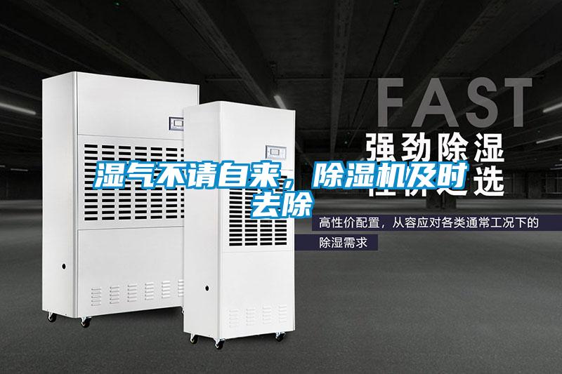 濕氣不請(qǐng)自來(lái)，除濕機(jī)及時(shí)去除