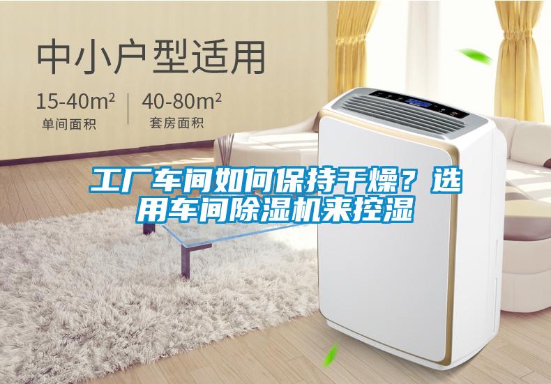 工廠車間如何保持干燥？選用車間除濕機來控濕