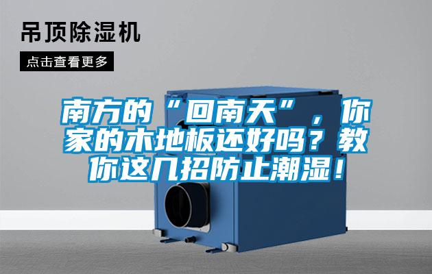 南方的“回南天”，你家的木地板還好嗎？教你這幾招防止潮濕！