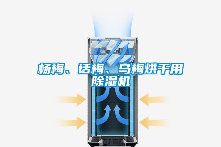 楊梅、話梅、烏梅烘干用除濕機(jī)