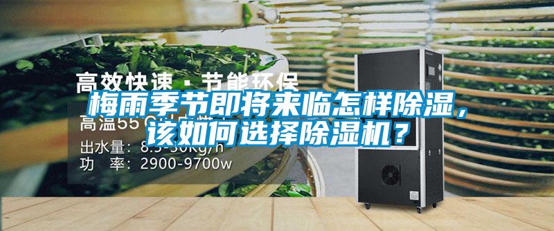 梅雨季節(jié)即將來臨怎樣除濕，該如何選擇除濕機？
