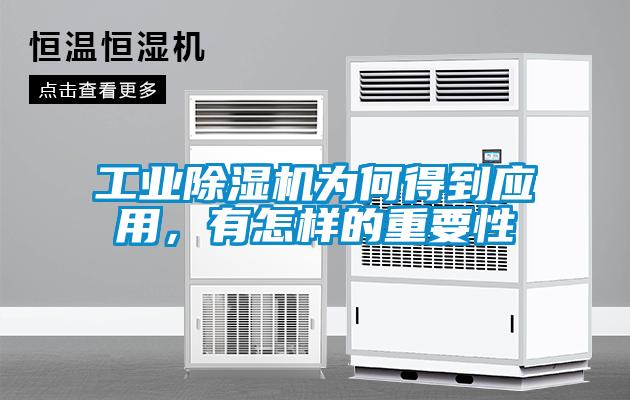 工業(yè)除濕機為何得到應用，有怎樣的重要性