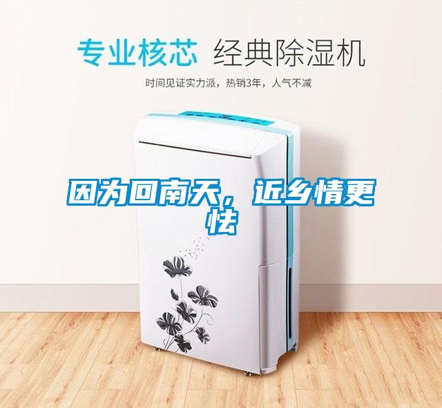因?yàn)榛啬咸欤l(xiāng)情更怯
