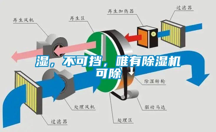 濕，不可擋，唯有除濕機(jī)可除