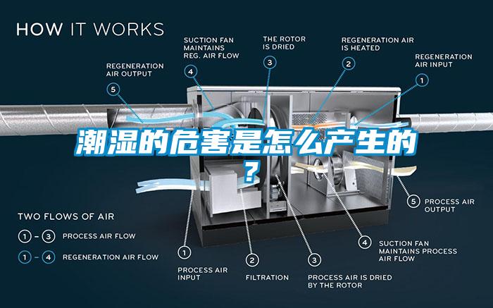 潮濕的危害是怎么產(chǎn)生的？