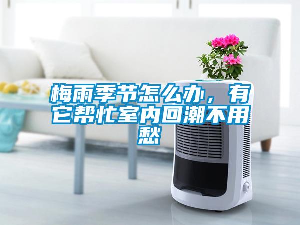 梅雨季節(jié)怎么辦，有它幫忙室內(nèi)回潮不用愁