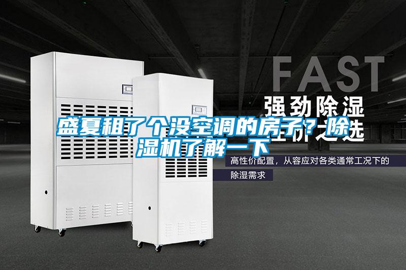 盛夏租了個(gè)沒空調(diào)的房子？除濕機(jī)了解一下