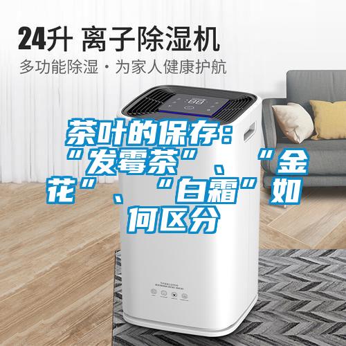茶葉的保存：“發(fā)霉茶”、“金花”、“白霜”如何區(qū)分
