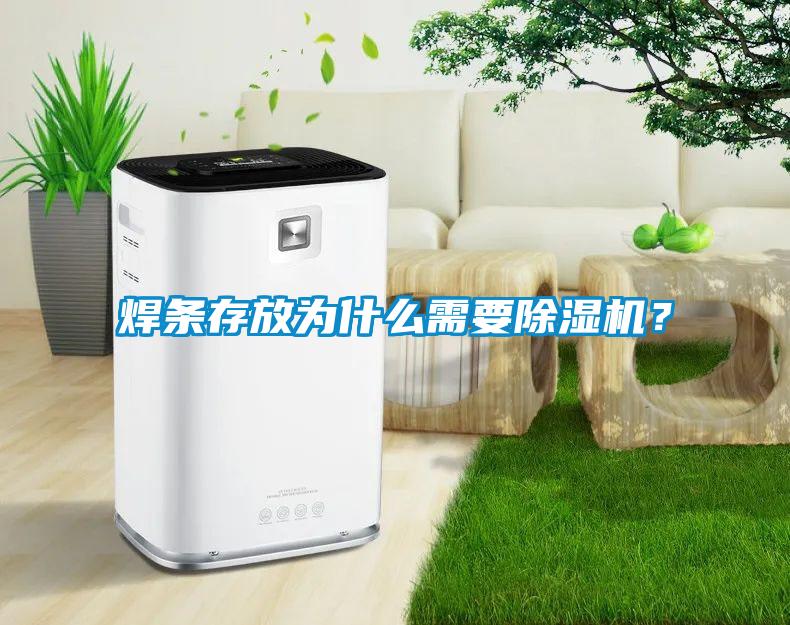 焊條存放為什么需要除濕機(jī)？