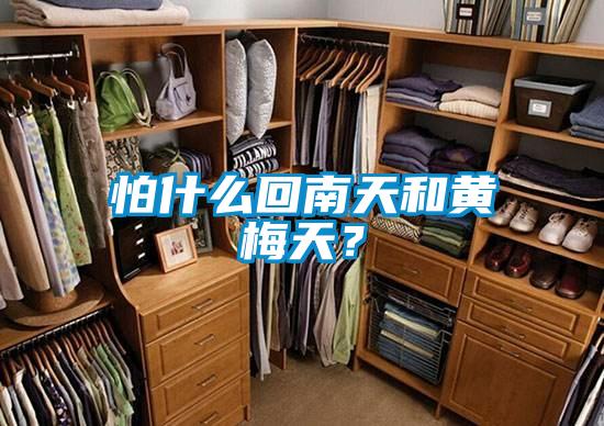 怕什么回南天和黃梅天？