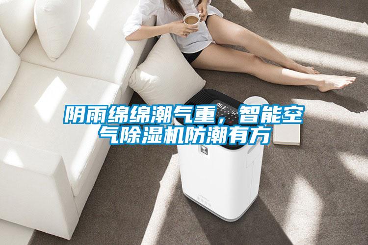 陰雨綿綿潮氣重，智能空氣除濕機(jī)防潮有方