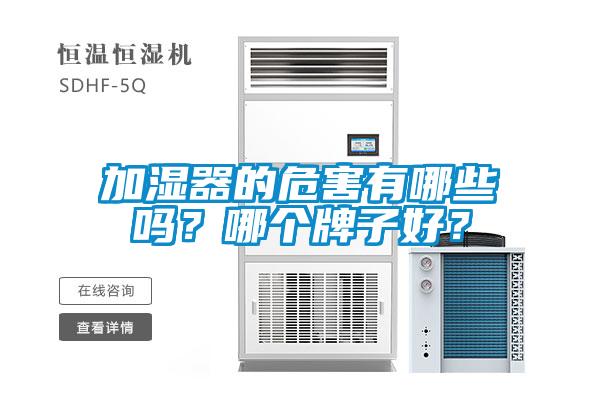 加濕器的危害有哪些嗎？哪個(gè)牌子好？