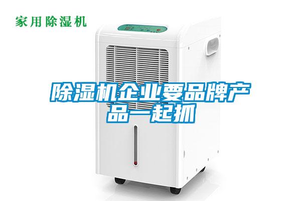 除濕機企業(yè)要品牌產品一起抓