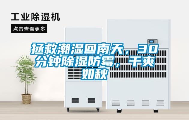 拯救潮濕回南天，30分鐘除濕防霉，干爽如秋