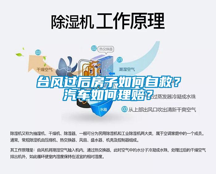 臺風過后房子如何自救？汽車如何理賠？