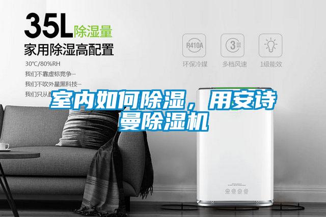 室內(nèi)如何除濕，用安詩(shī)曼除濕機(jī)
