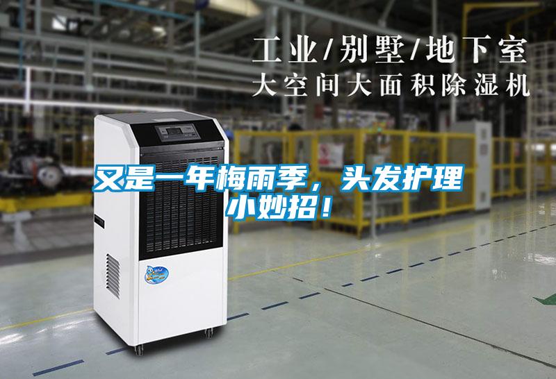 又是一年梅雨季，頭發(fā)護(hù)理小妙招！
