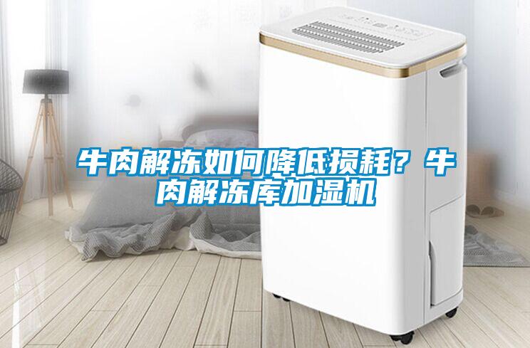 牛肉解凍如何降低損耗？牛肉解凍庫加濕機(jī)