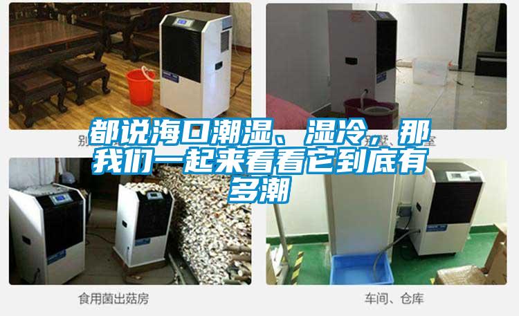 都說海口潮濕、濕冷，那我們一起來看看它到底有多潮