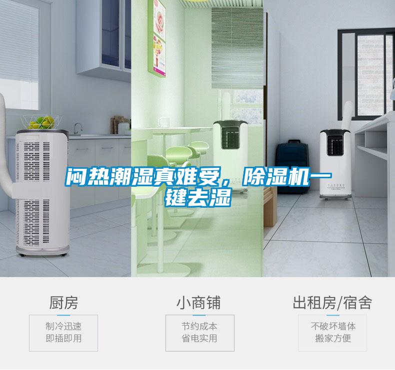 悶熱潮濕真難受，除濕機一鍵去濕