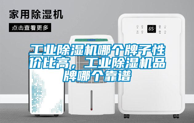 工業(yè)除濕機哪個牌子性價比高，工業(yè)除濕機品牌哪個靠譜
