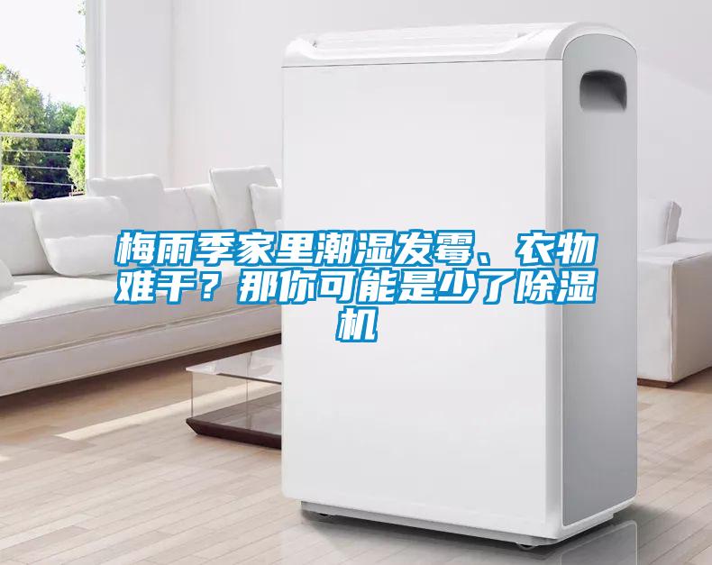 梅雨季家里潮濕發(fā)霉、衣物難干？那你可能是少了除濕機