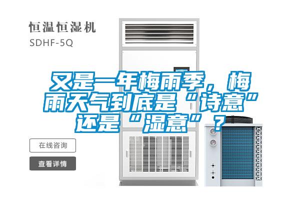 又是一年梅雨季，梅雨天氣到底是“詩意”還是“濕意”？
