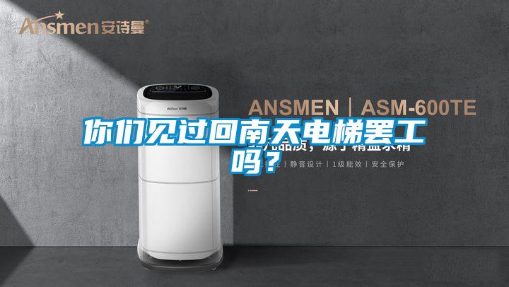 你們見過回南天電梯罷工嗎？